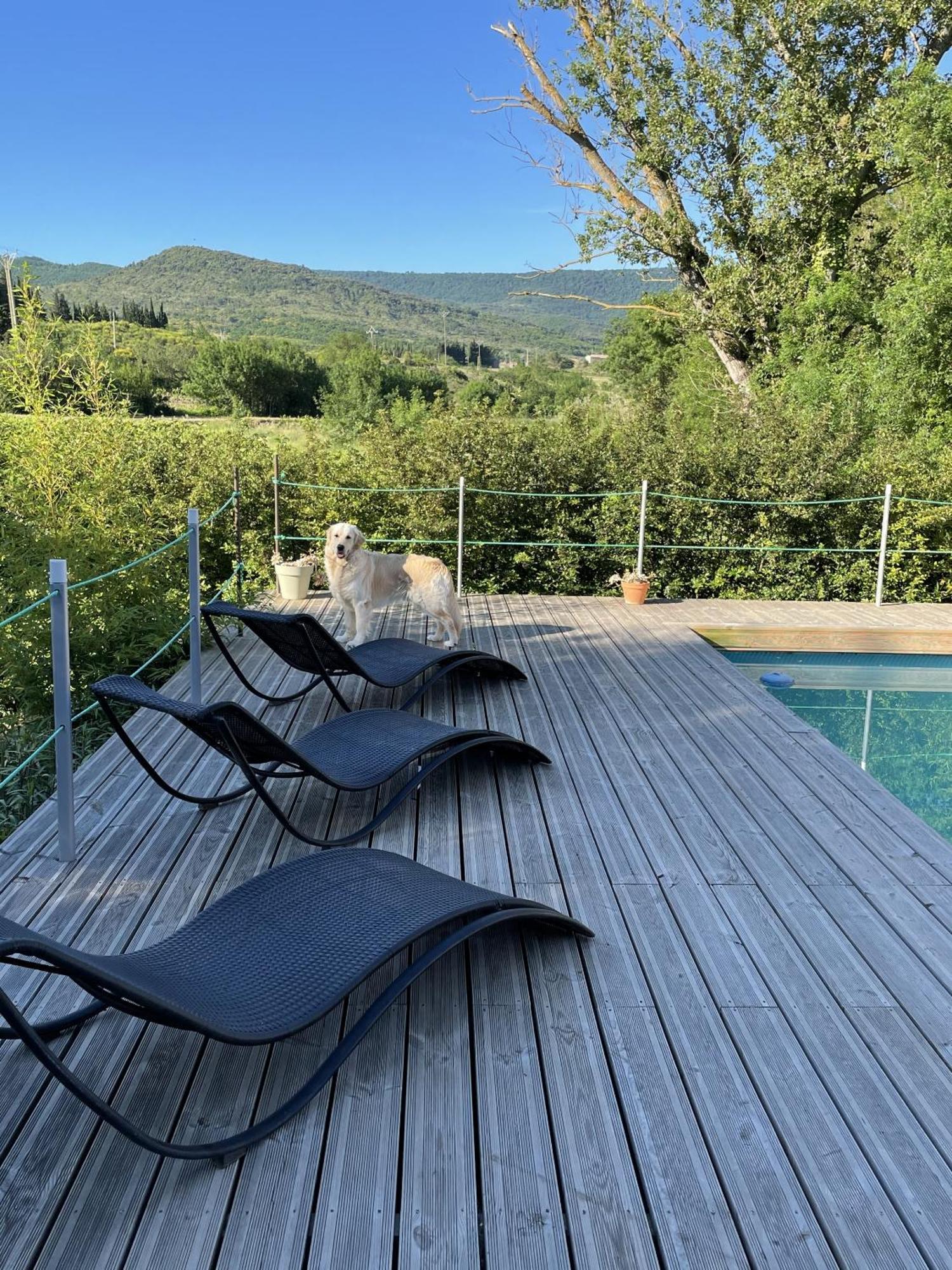 Le Domaine De La Tuilerie - Gite De Charme En Bord De Riviere Avec Piscine Servies-en-Val 외부 사진