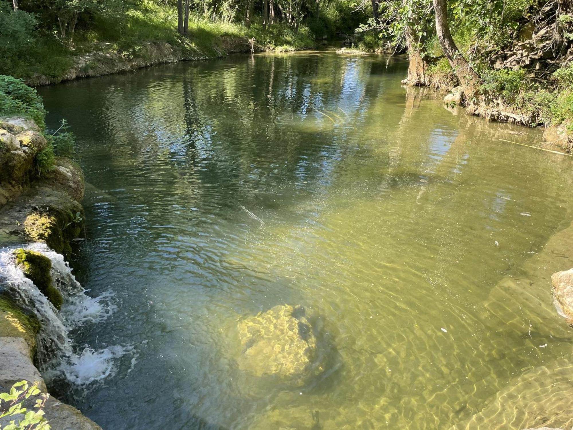 Le Domaine De La Tuilerie - Gite De Charme En Bord De Riviere Avec Piscine Servies-en-Val 외부 사진