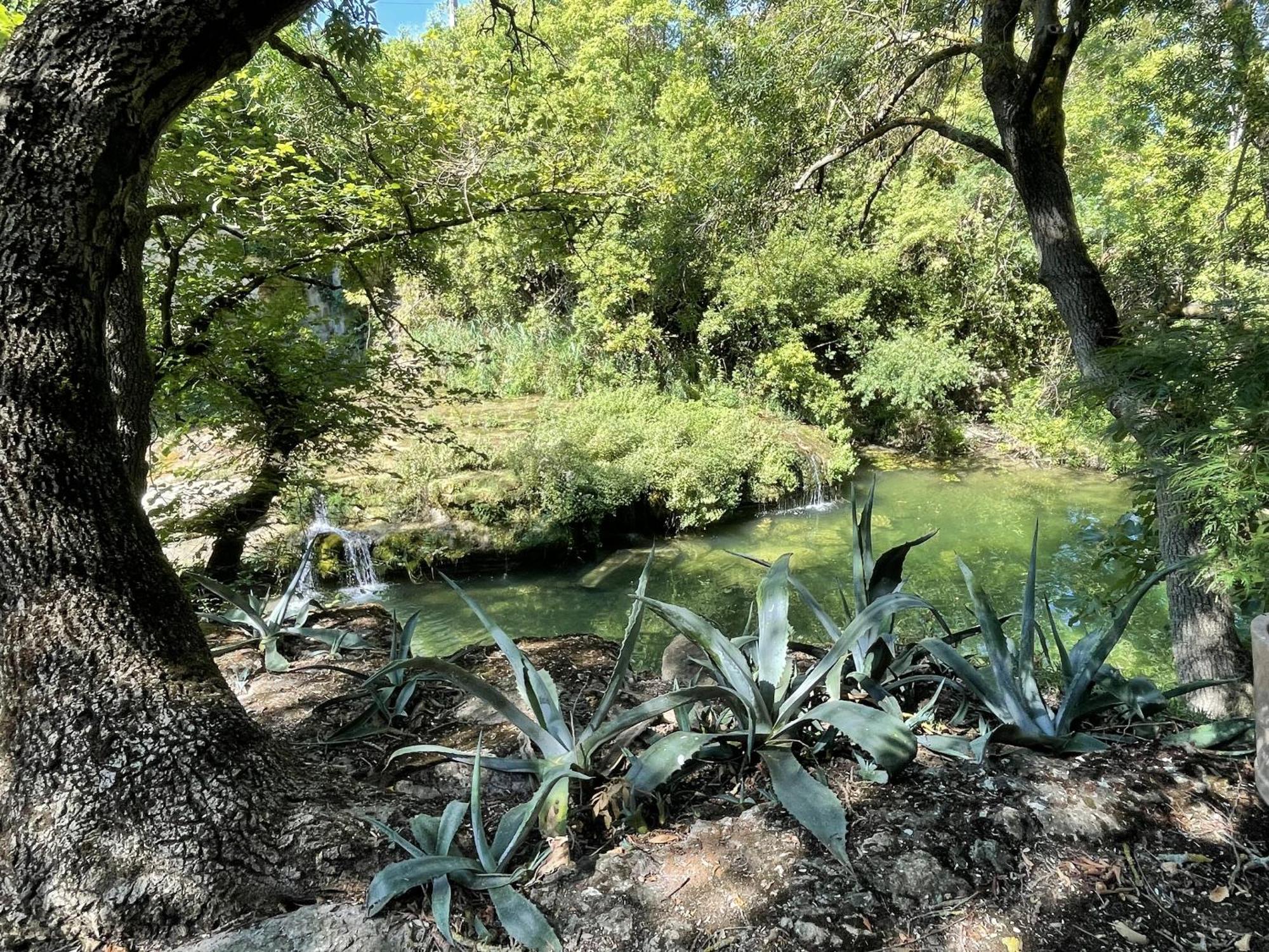 Le Domaine De La Tuilerie - Gite De Charme En Bord De Riviere Avec Piscine Servies-en-Val 객실 사진